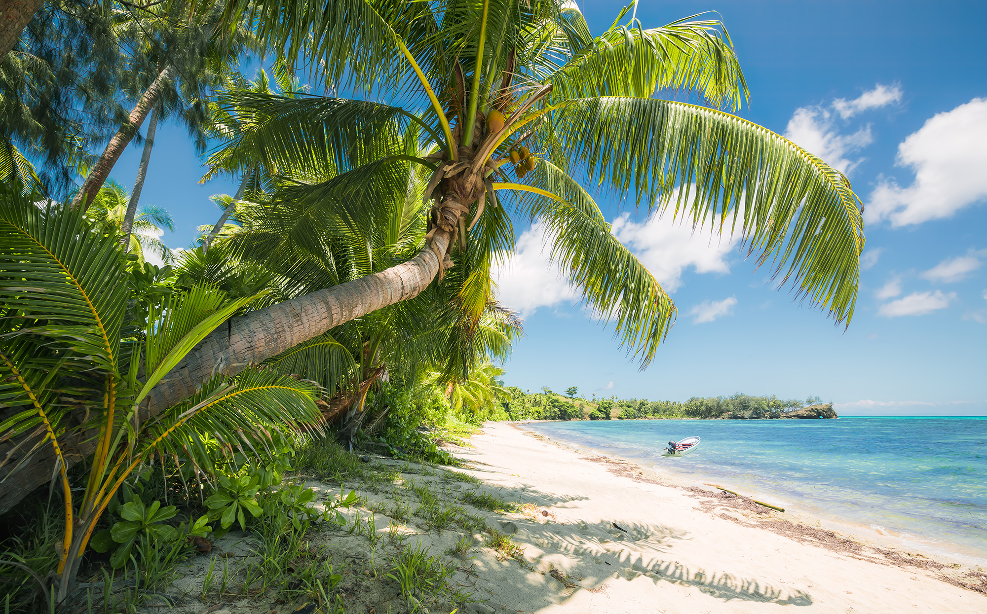 Vliestapete "Fiji Dreams Boat " von Komar | fototapete.de